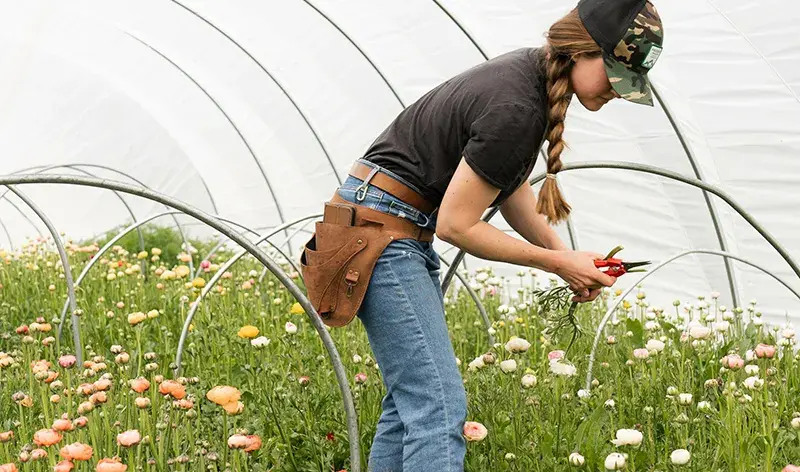 There are many variations of passages of Lorem Ipsum available, but majority have suffered teration in some form, by injected humour, or randomised words which don't look even slight believable. If you are going to use a passage of Lorem Ipsum.